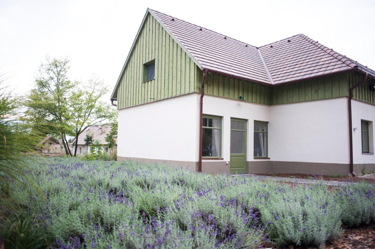 Pajta Apartman Es Vendeghaz Tata Exterior foto