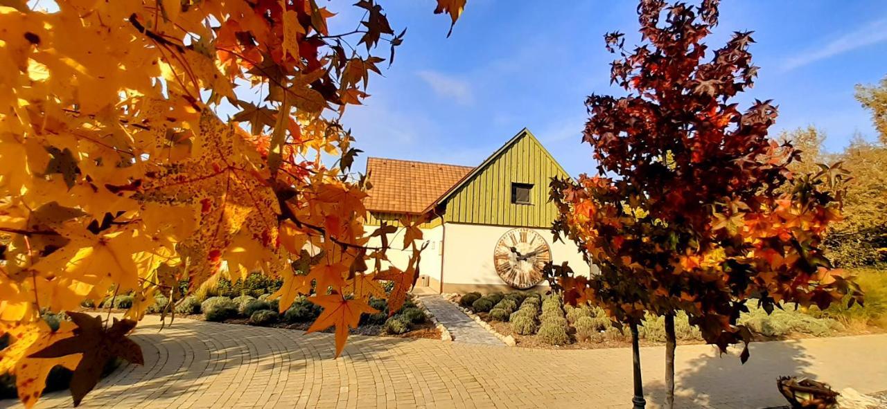 Pajta Apartman Es Vendeghaz Tata Exterior foto